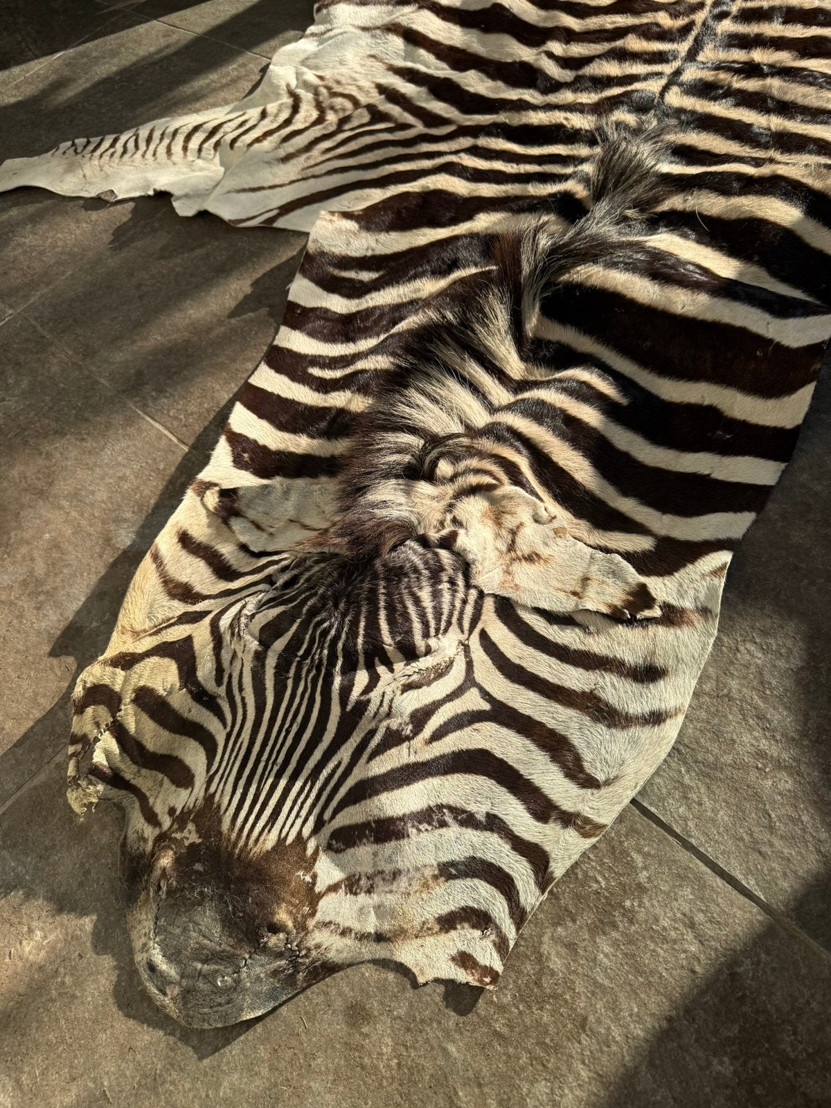 Exclusief zebravel, Huis en Inrichting, Stoffering | Tapijten en Kleden, Ophalen of Verzenden