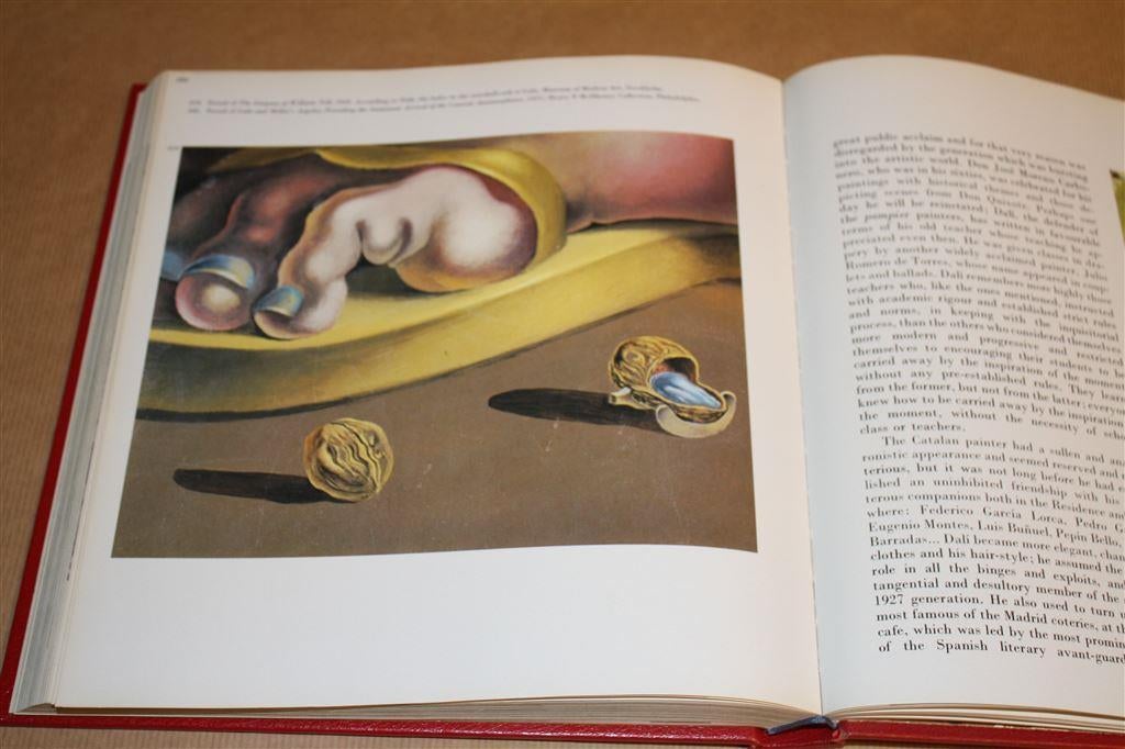 Prachtig kunstboek Dali., Ophalen of Verzenden, Gelezen