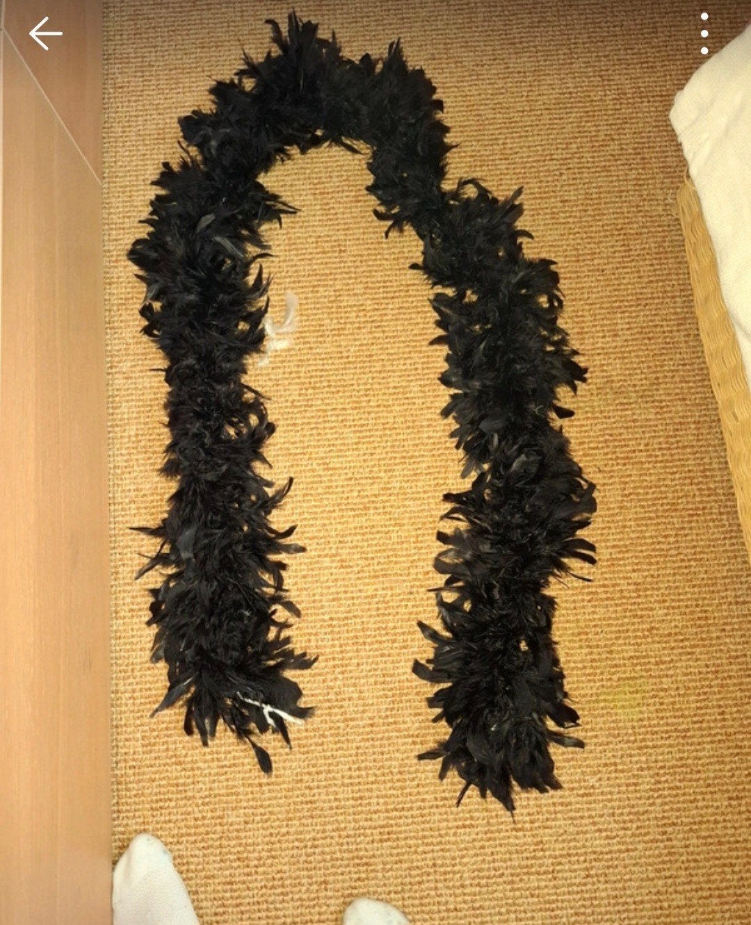 2 Boa veren - Zwart en Wit voor Feestjes en Carnaval, Ophalen of Verzenden, Gebruikt, Feestartikel, Carnaval