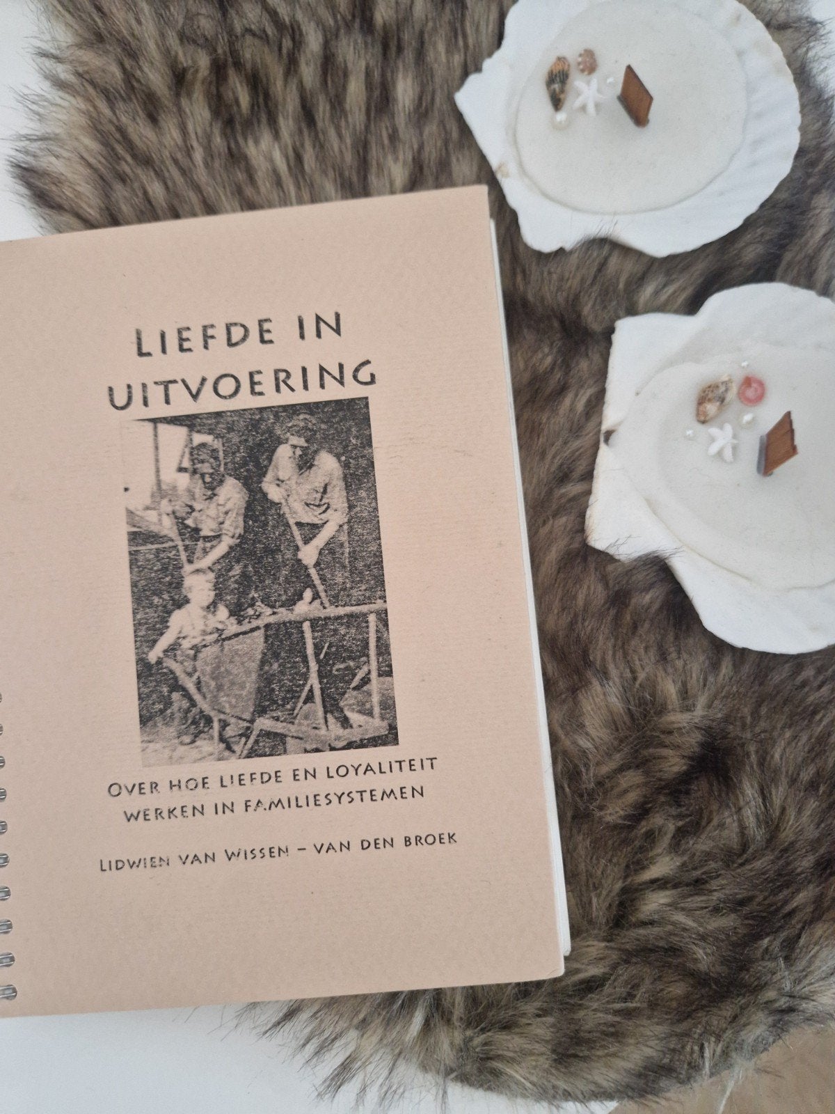 Liefde in Uitvoering: Systemisch Werk en Loyaliteit, Ophalen of Verzenden, Gelezen, Overige onderwerpen, Achtergrond en Informatie