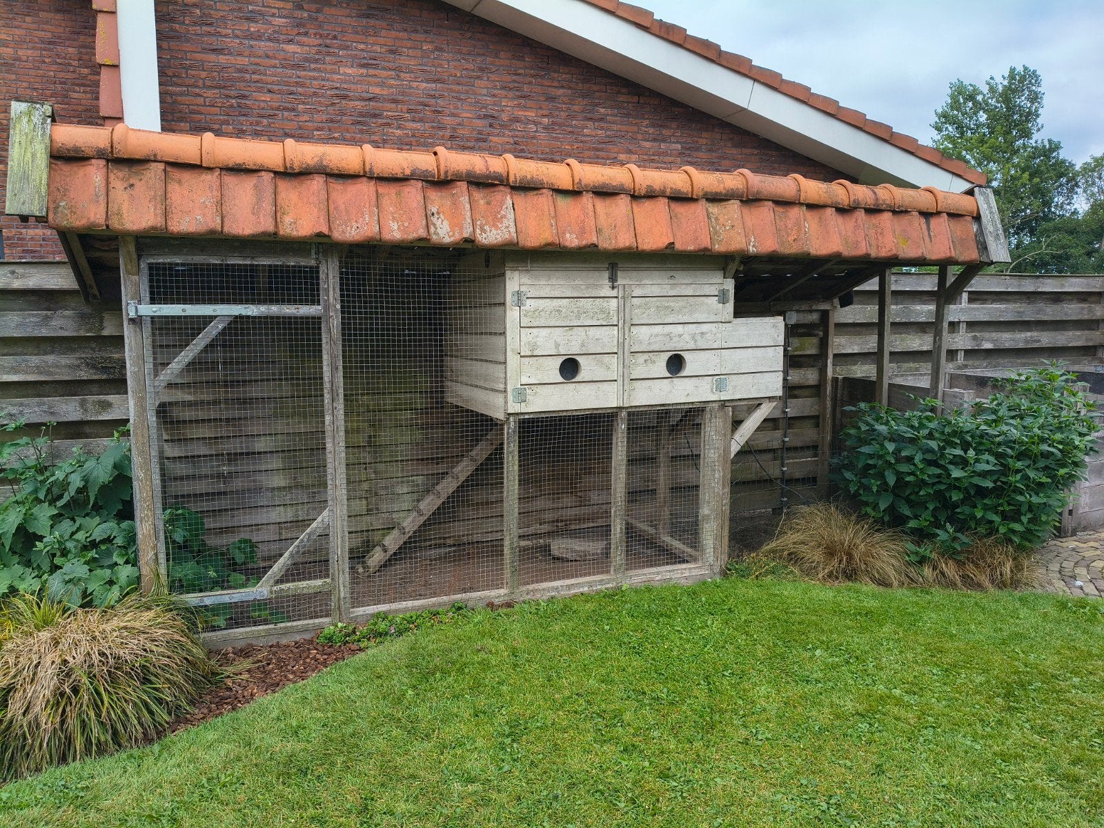 Prachtig Kippenhok met grote buitenren en pannen dak, Dieren en Toebehoren, Pluimvee | Toebehoren, Ophalen, Gebruikt, Kippenhok of Kippenren