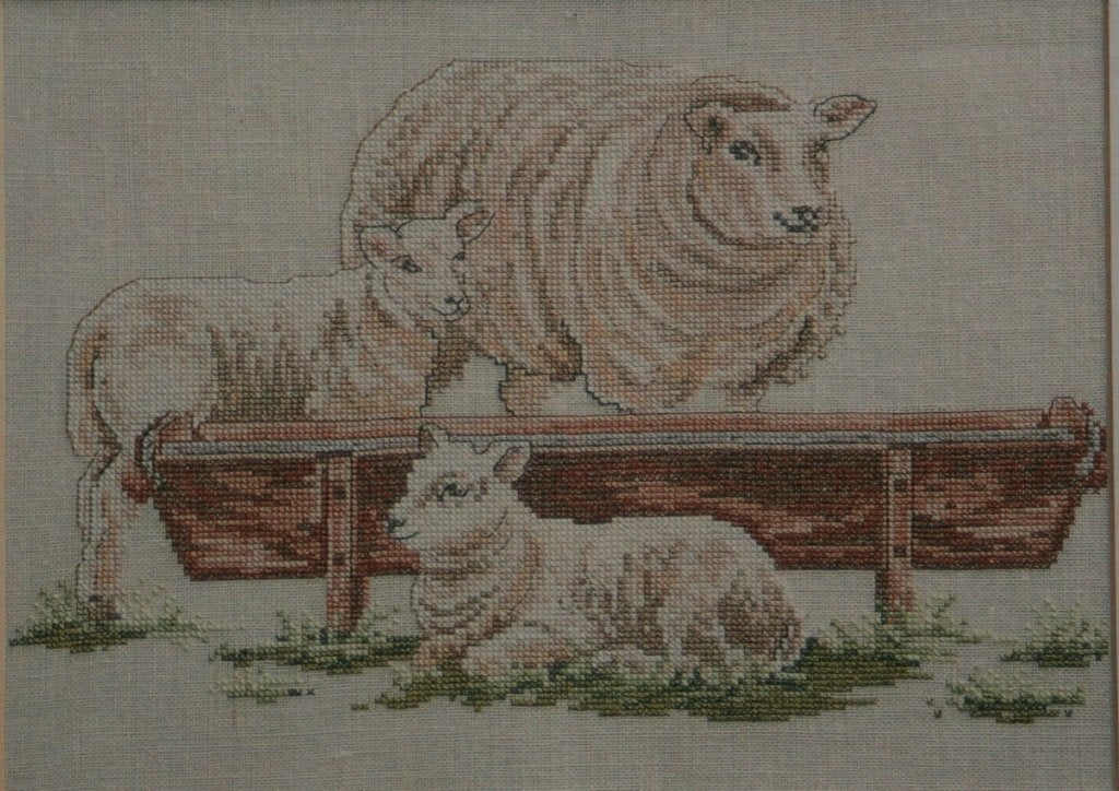 Borduurpatroon  Schaap met Lammetjes  nr 2019, Verzenden, Nieuw, Handborduren, Patroon