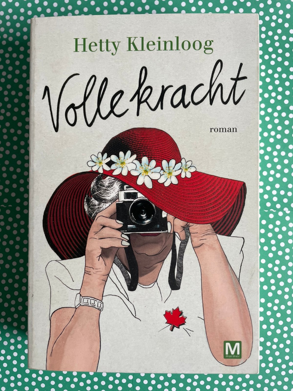 Volle kracht, door Hetty Kleinloog, Ophalen of Verzenden, Zo goed als nieuw, Nederland