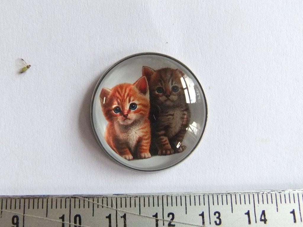 Speldje met twee schattige kittens, Verzamelen, Speldjes, Pins en Buttons, Verzenden, Nieuw, Dier of Natuur, Speldje of Pin
