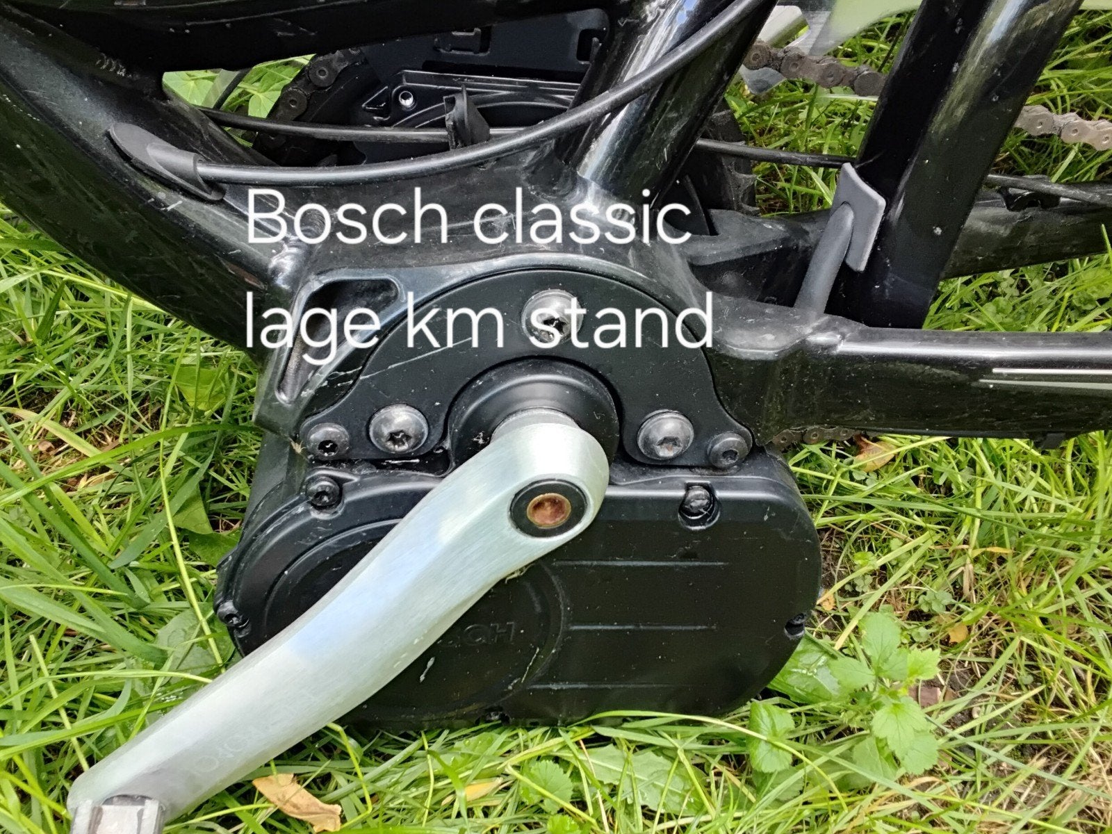 2 x Bosch classic 36v e-bike motor, Elektrische fiets, Gebruikt, Ophalen of Verzenden, Motor