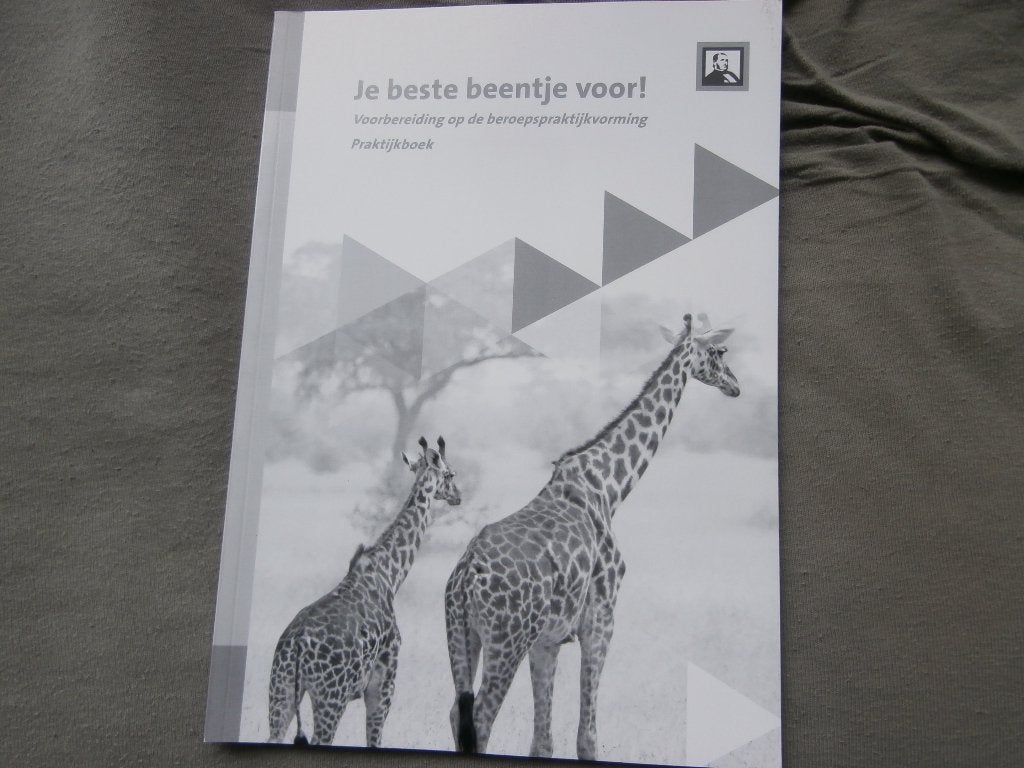 schoolboek Praktijk uitgev Sarphati Je beste beentje voor, Boeken, Ophalen of Verzenden, Zo goed als nieuw, MBO, Sarphati