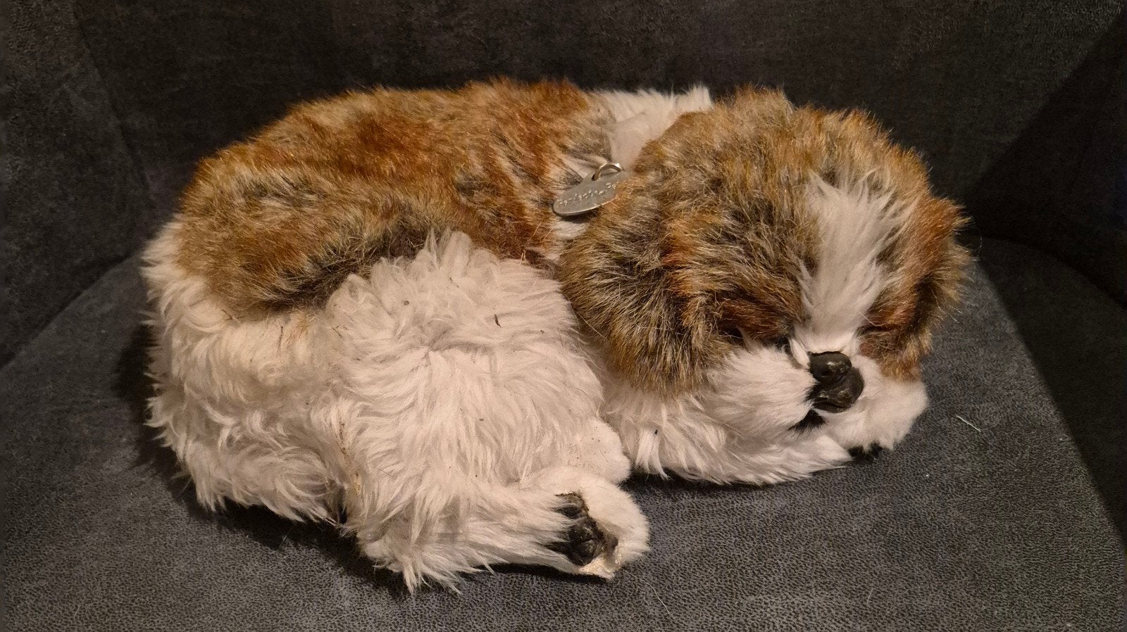 Schattige slapende hond knuffel - Realistisch en zacht, Ophalen