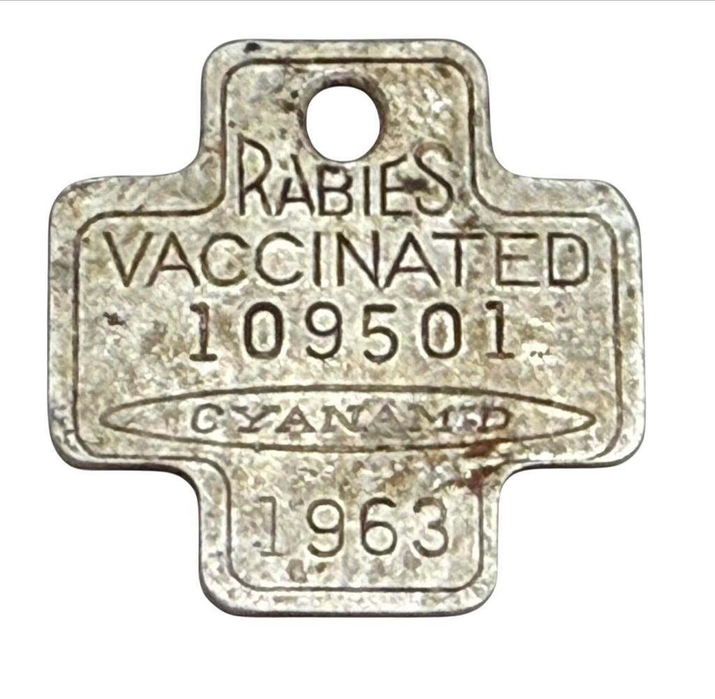 Rabies vaccinated vintage hondenpenning uit 1963, Ophalen, Overige materialen, Nederland