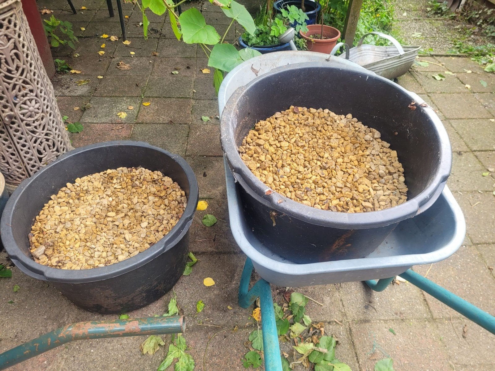 Ardenner split geel gratis, Tuin en Terras, Ophalen, Split