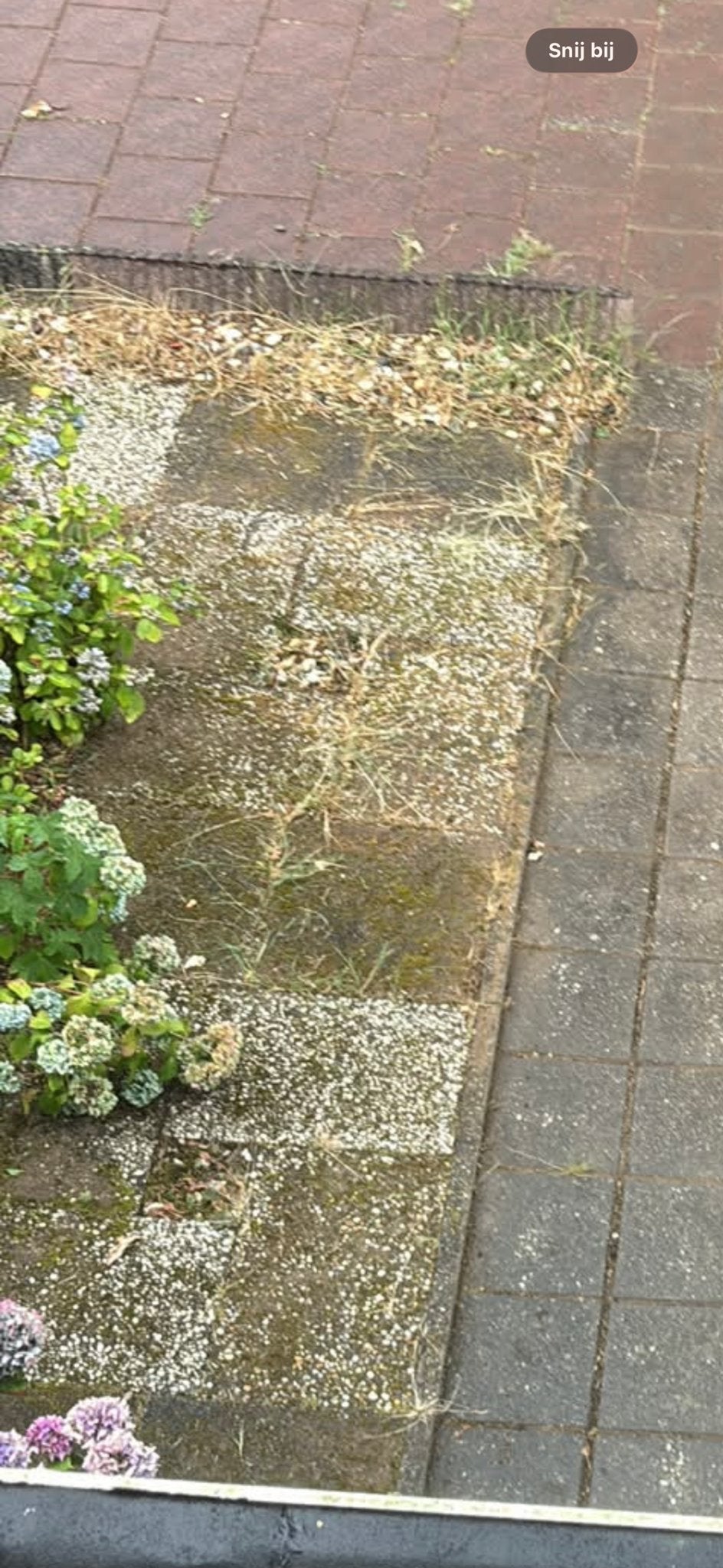 Gratis af te halen: Ongeveer 20 gebruikte tegels, Ophalen, Overige materialen, Gebruikt, 20 tot 40 cm