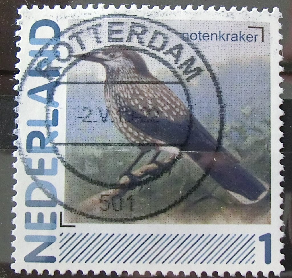 persoonlijke postzegel, Vogels, gest (lees aub), Ophalen of Verzenden, Na 1940, Gestempeld