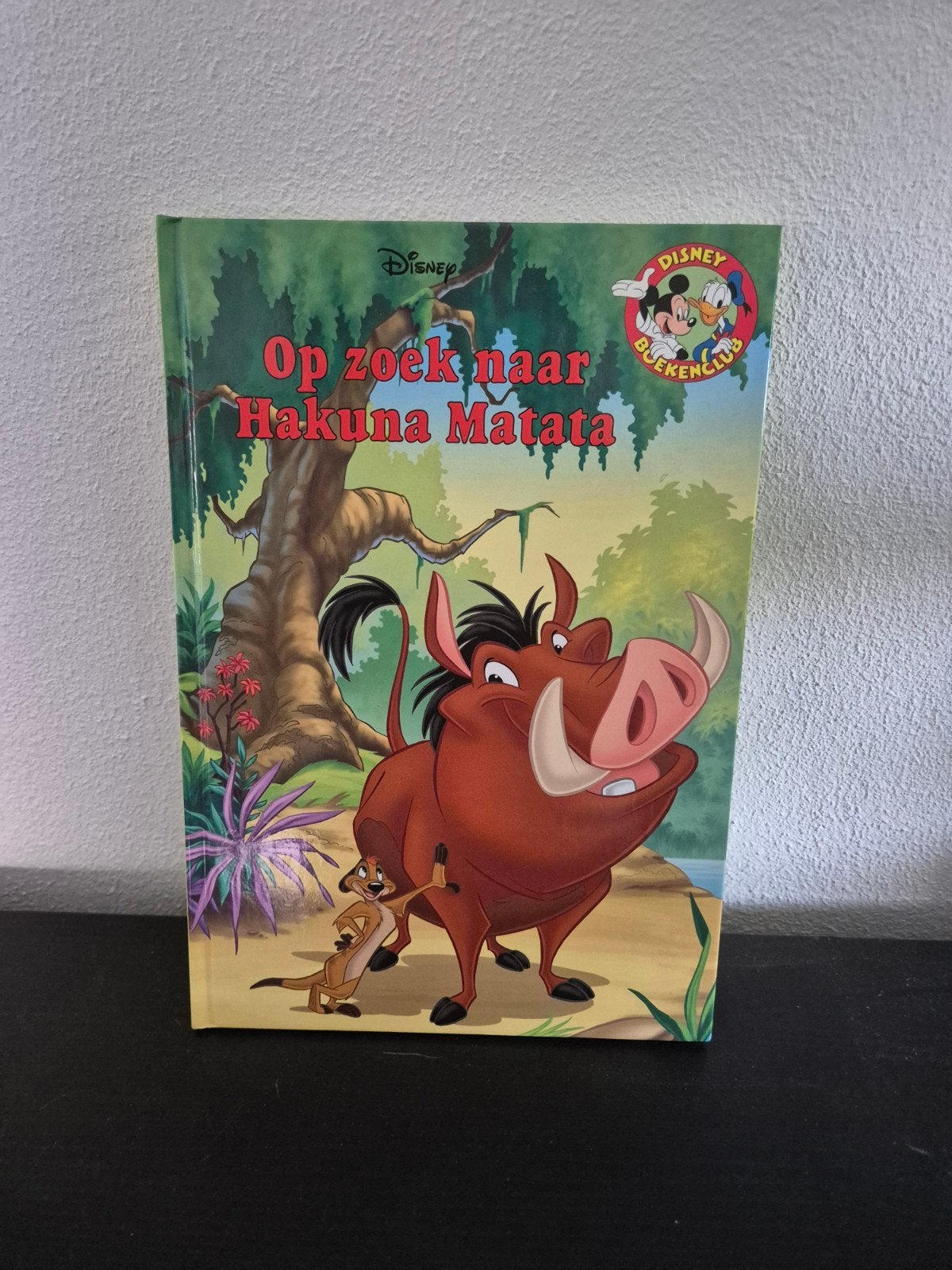 Disney Boekenclub: Op zoek naar Hakuna Matata (Lion King), Ophalen of Verzenden