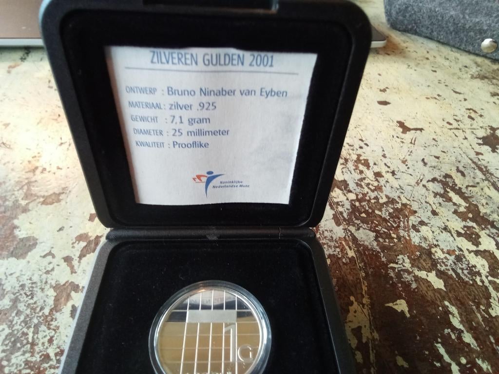 Ziveren gulden 2001 Ninaber van eyben, Postzegels en Munten, Munten | Nederland, Ophalen of Verzenden, Koningin Beatrix, 1 gulden