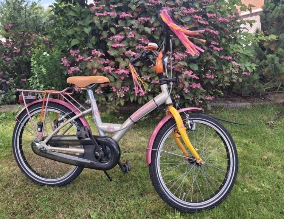Batavus koala kinderfiets, Ophalen, Gebruikt, Batavus, Terugtraprem