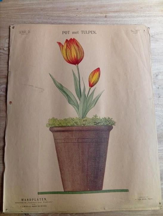 33 Schoolplaten wandplaten teekenen voor kinderen., Antiek en Kunst, Ophalen