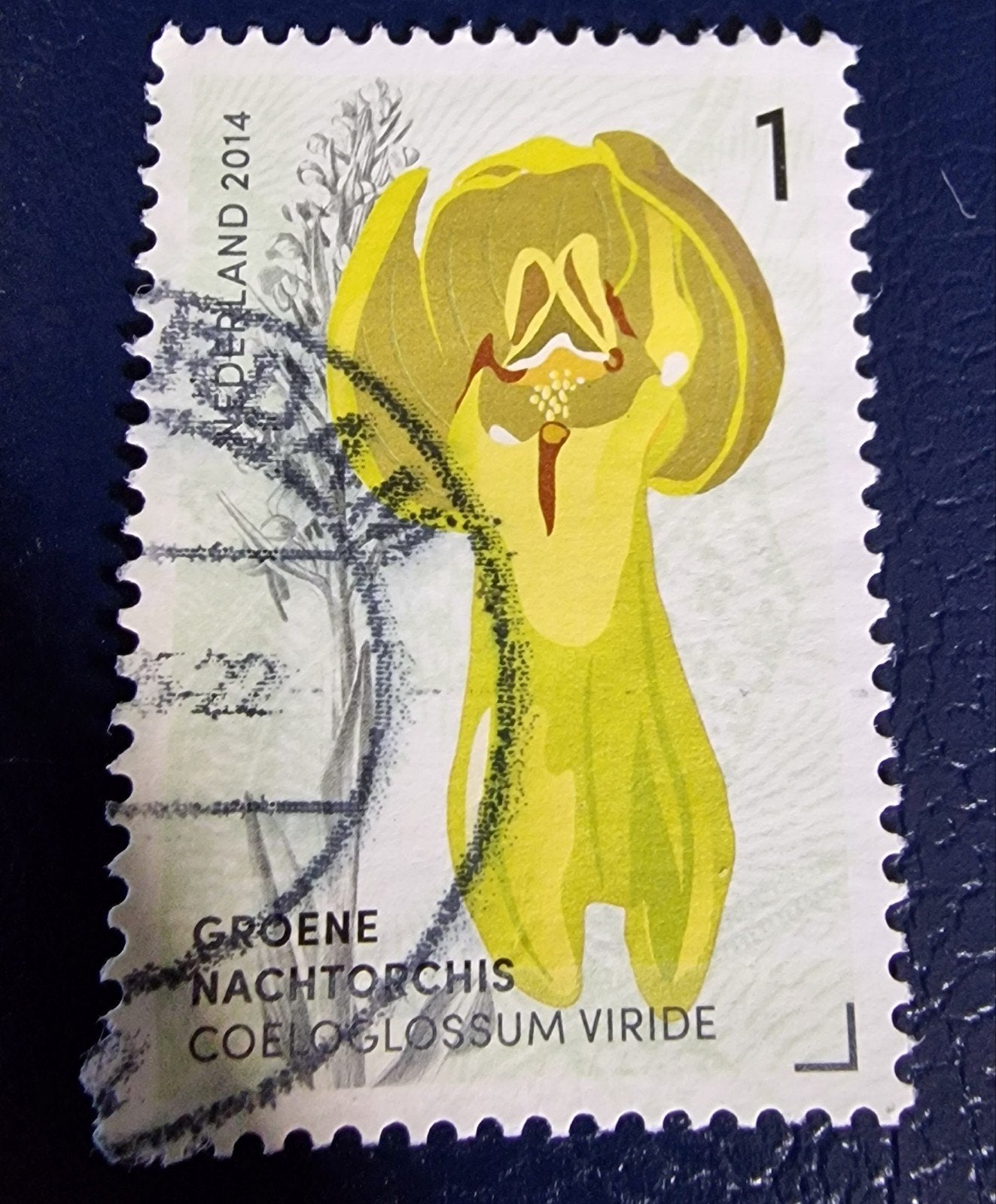 kv707 -2014 Groene Nachtorchis nvph 3183, Ophalen of Verzenden, Na 1940, Gestempeld