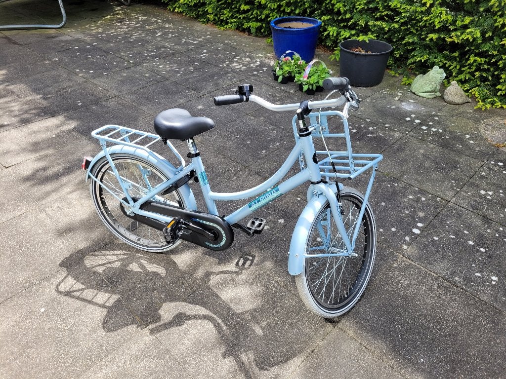kinderfiets-Alpina Cargo M20 Dream Blue, Fietsen en Brommers, Fietsen | Kinderfietsjes, Terugtraprem, 16 tot 20 inch, Alpina, Ophalen of Verzenden