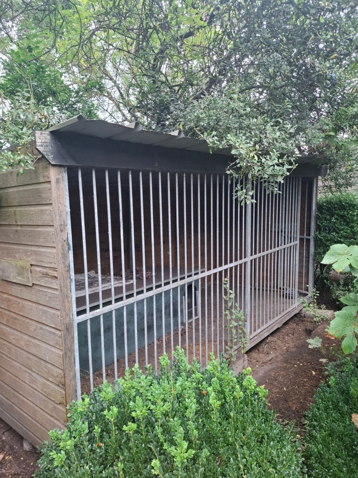 honden kennel, Dieren en Toebehoren, Ophalen, 110 cm of meer, 100 cm of meer