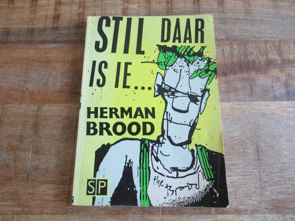 Boek van Herman Brood Stil daar is ie, Ophalen of Verzenden, Zo goed als nieuw, Schilder- en Tekenkunst, Herman Brood