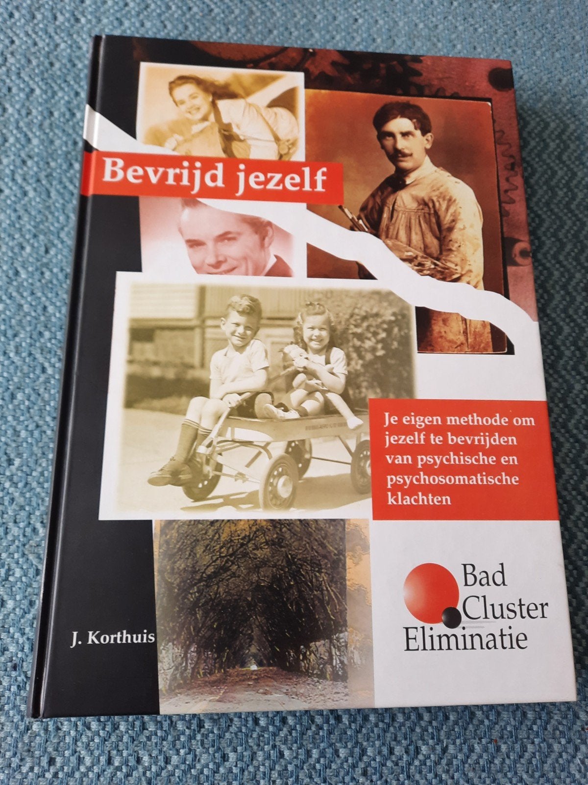 Bevrijd Jezelf - J. Korthuis (Psychologie), Boeken, Ophalen of Verzenden