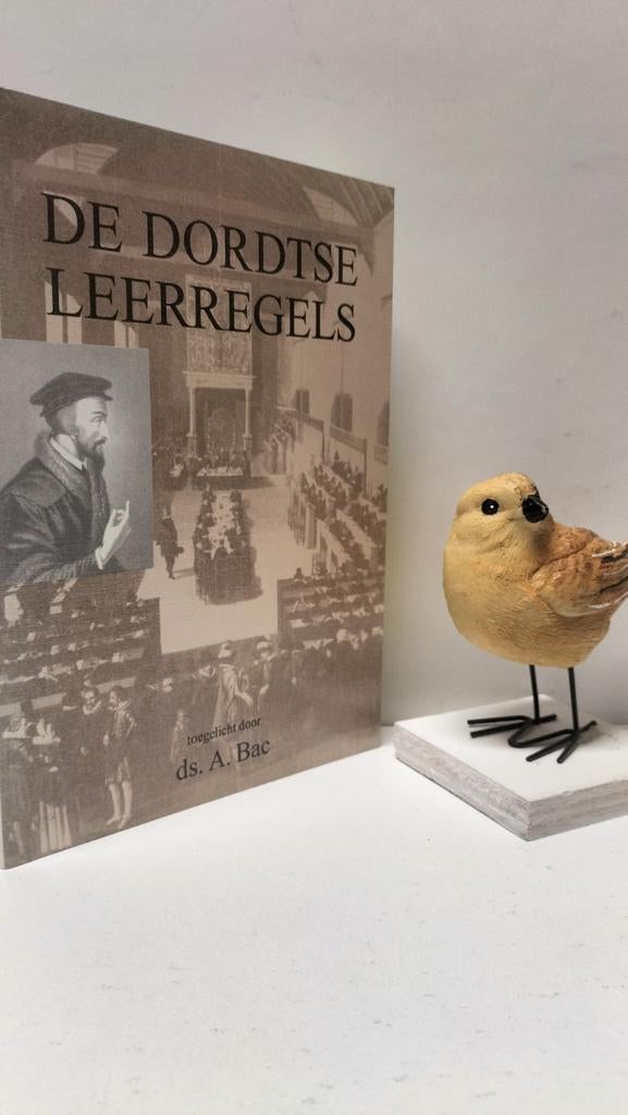Bac, Ds. A.; De Dordtse leerregels, Boeken, Ophalen of Verzenden, Gelezen, Christendom | Protestants
