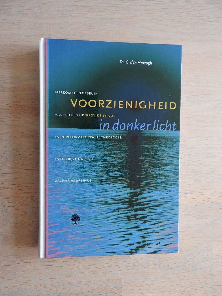 G. den Hartogh - Voorzienigheid in donker licht - Herkomst, Ophalen of Verzenden, Zo goed als nieuw