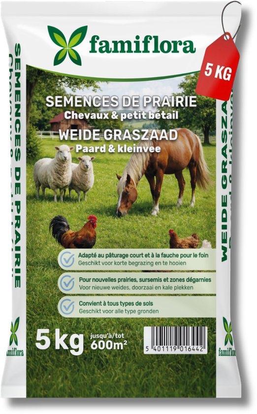 Graszaad 5kg tot 600m²  Weide Graszaad voor paard & kleinvee, Ophalen of Verzenden, Nieuw, 20 m² of meer