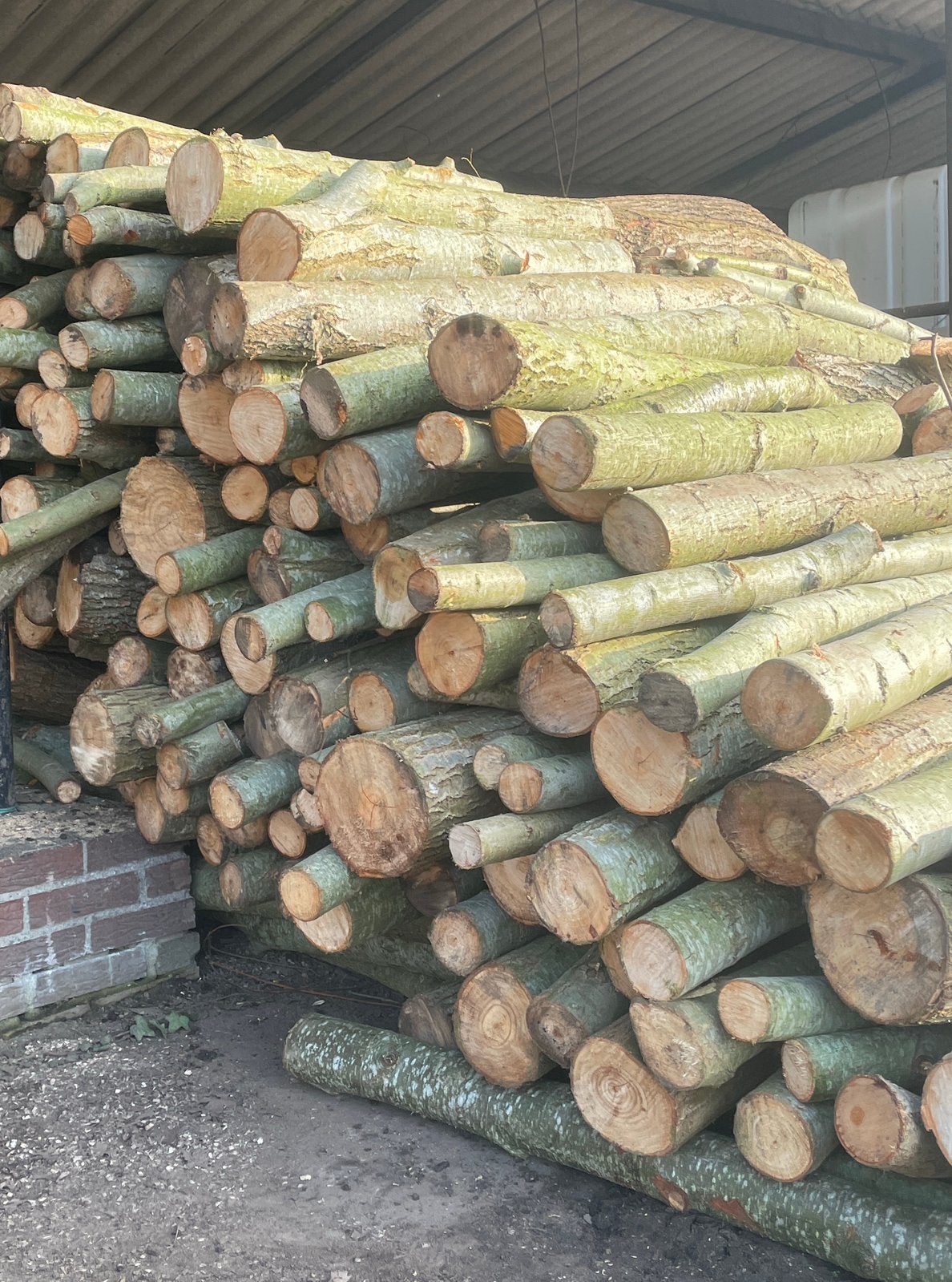 Haardhout Kachelhout stammen van circa 1 meter, Tuin en Terras, 6 m³ of meer, Ophalen, Overige houtsoorten, Stammen