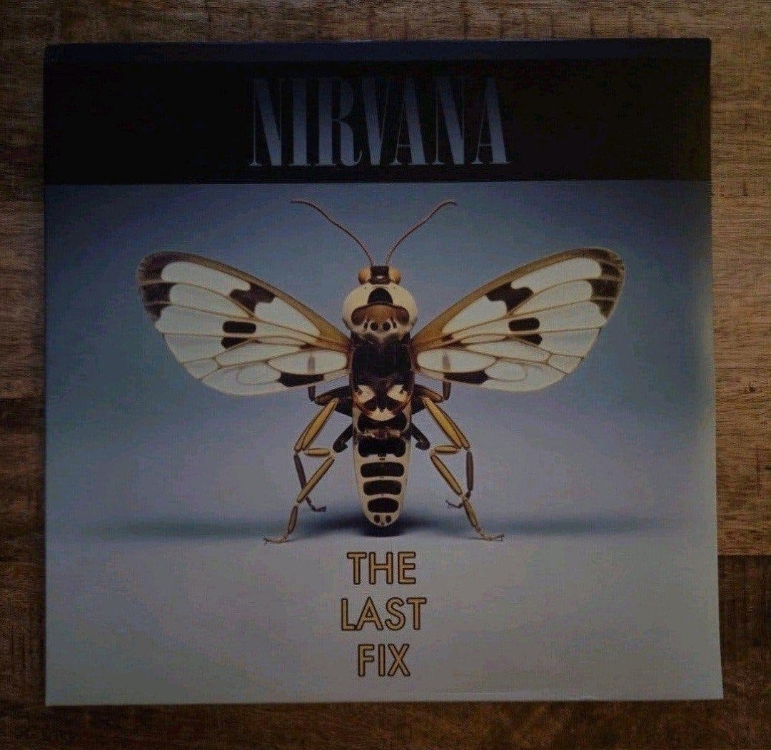 Dubbel lp nirvana the last fix, Cd's en Dvd's, Ophalen of Verzenden, Zo goed als nieuw, 12 inch