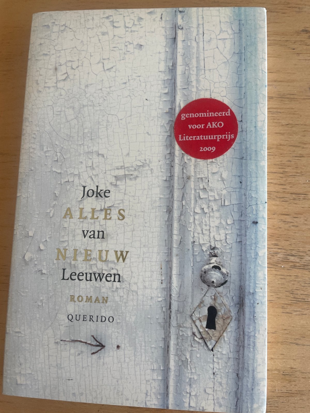Alles van Nieuw Leeuwen - Joke van Leeuwen (Roman), Ophalen of Verzenden, Zo goed als nieuw, Nederland