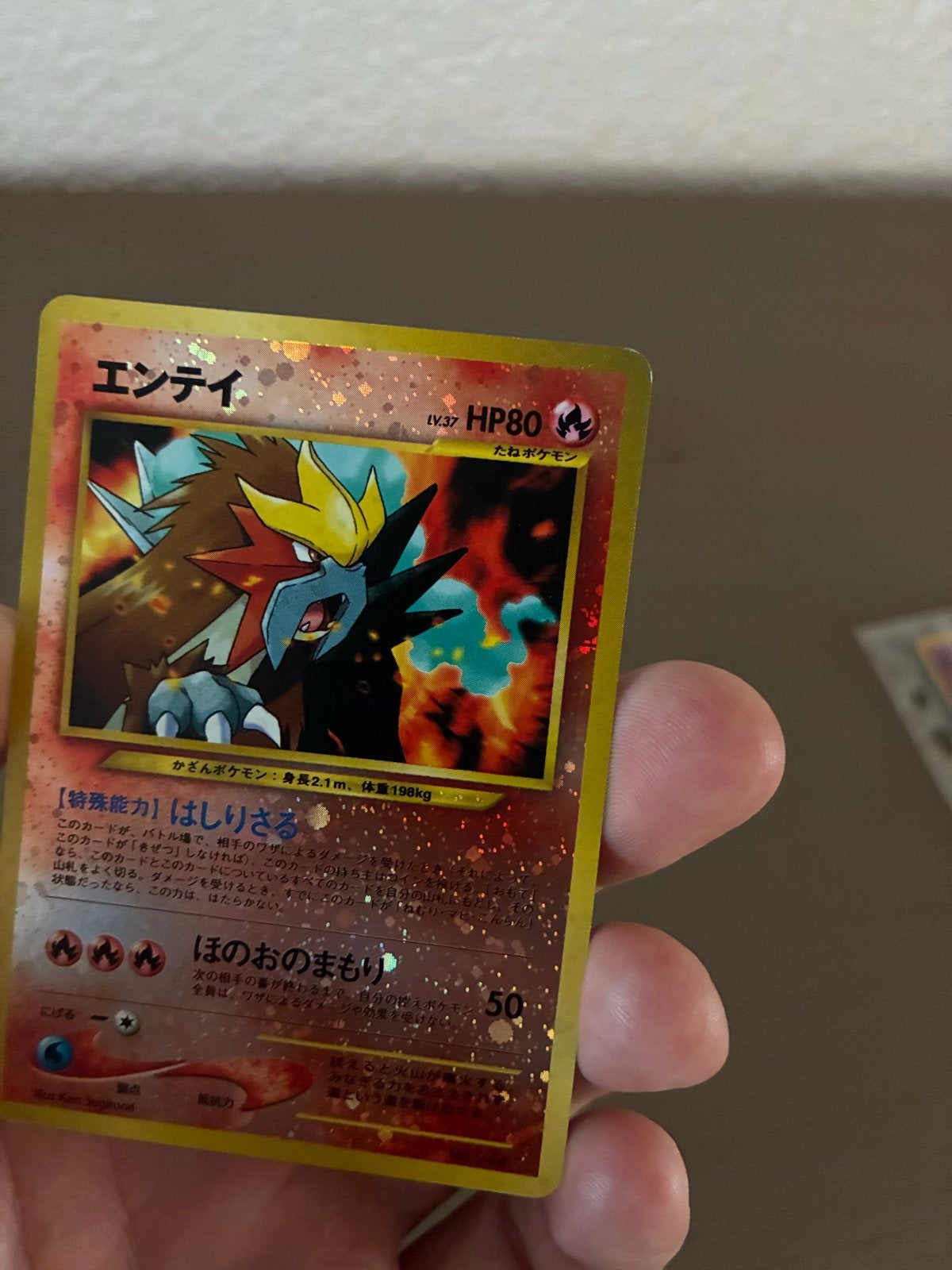 Pokémon Entei Neo Premium File Old Back Japanse kaart, Verzenden, Zo goed als nieuw, Losse kaart, Foil