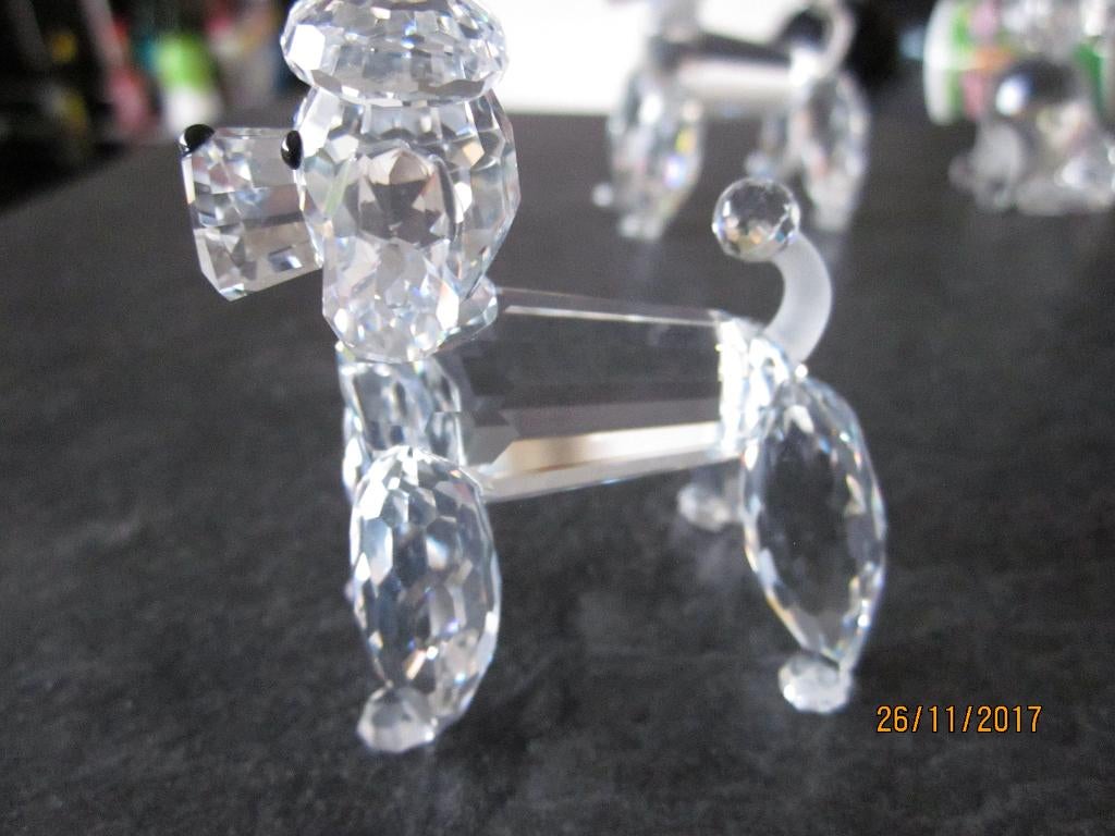 Swarovski speciale poedel met mate staart, incl. doos & cert, Verzamelen, Swarovski, Ophalen of Verzenden, Nieuw, Figuurtje