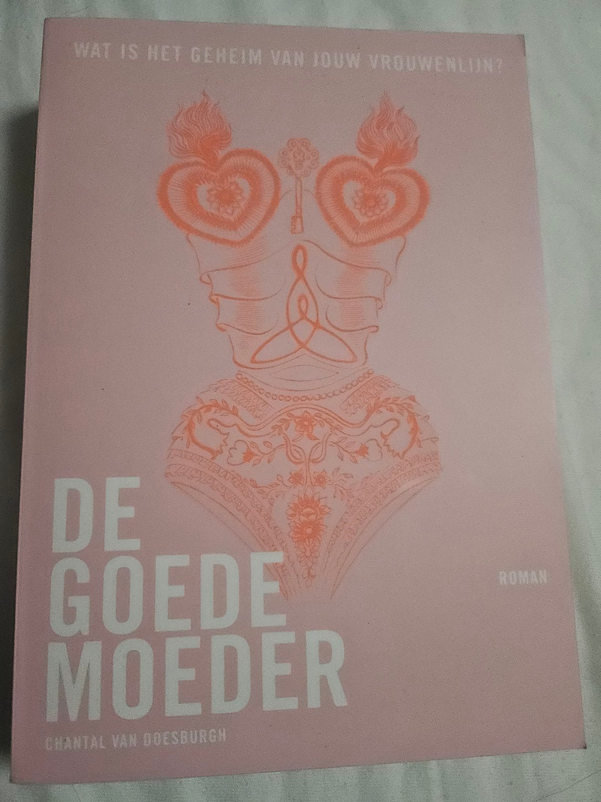 De Goede Moeder - Chantal van Doesburgh (Roman), Ophalen of Verzenden, Zo goed als nieuw, Chantal van Doesburgh, Nederland