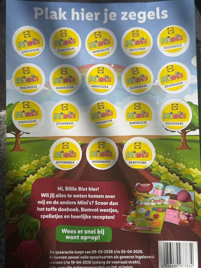 5 Lidl Mini's volle spaarkaarten spaaractie, Lidl, Ophalen of Verzenden