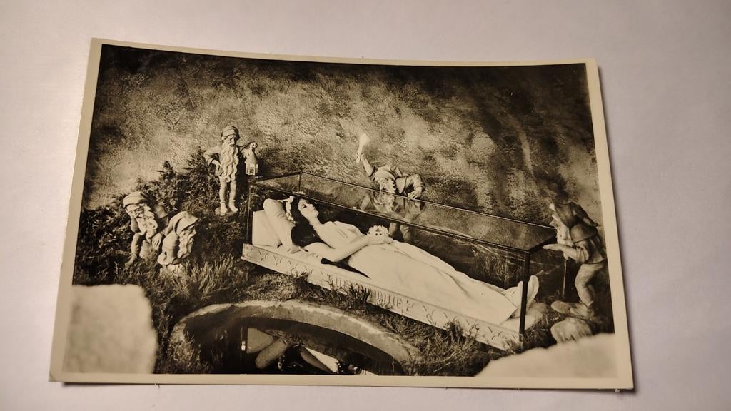 De Efteling Sneeuwwitje Ansichtkaart ongelopen, Ophalen of Verzenden, 1980 tot heden, Zuid-Holland