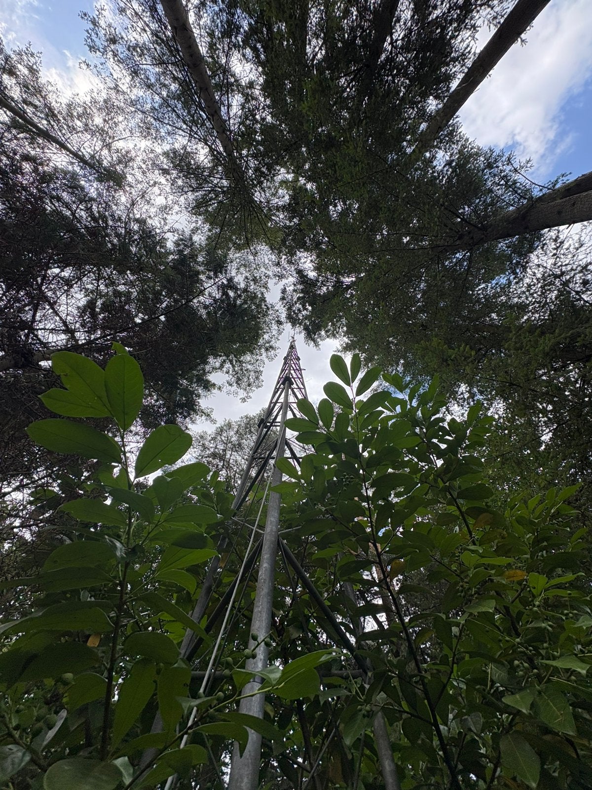 Constructiemast antennemast zendmast, Telecommunicatie, Ophalen, Gebruikt, Antenne