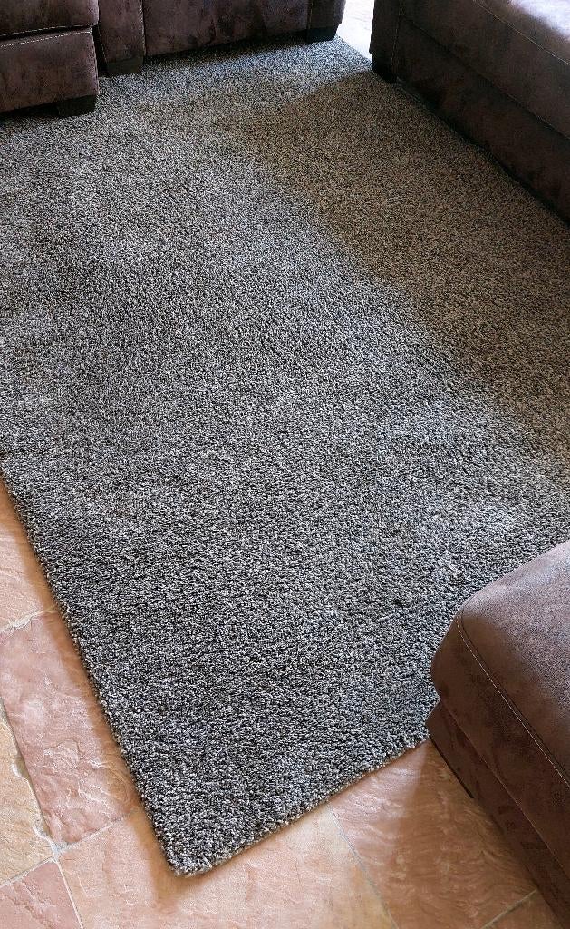Vloerkleed  170 x 240 cm, Ophalen, Gebruikt, Bruin, 150 tot 200 cm