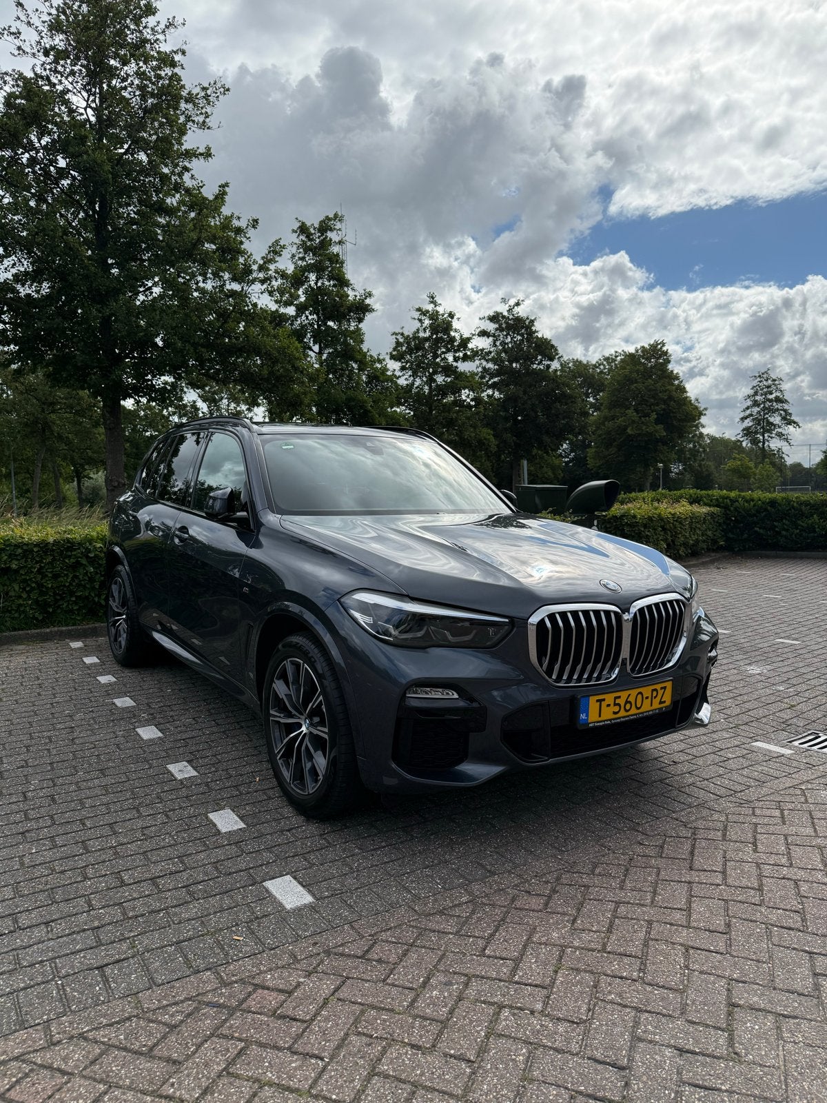BMW X5 xDrive 30d 2020 Arctic Grijs, Automaat, 2993 cc, 255 €/maand, Bruin