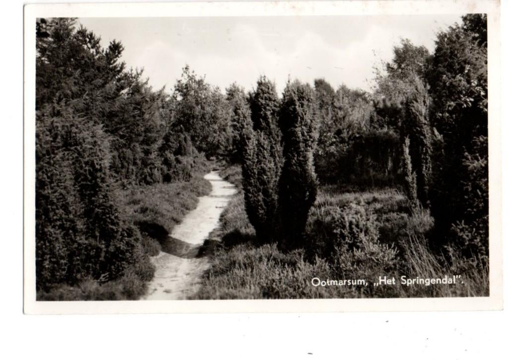 Ootmarsum. "Het Springendal"., Verzenden, 1960 tot 1980, Gelopen, Overijssel