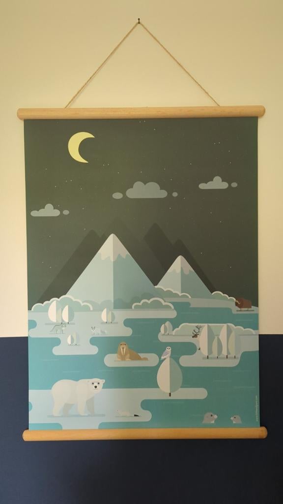 Tweezijdige schoolplaat pooldieren, Ophalen, Minder dan 50 cm, Schilderij