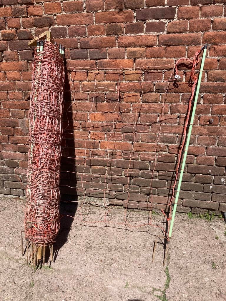 Schapen netten te koop, Dieren en Toebehoren, Stalling en Weidegang