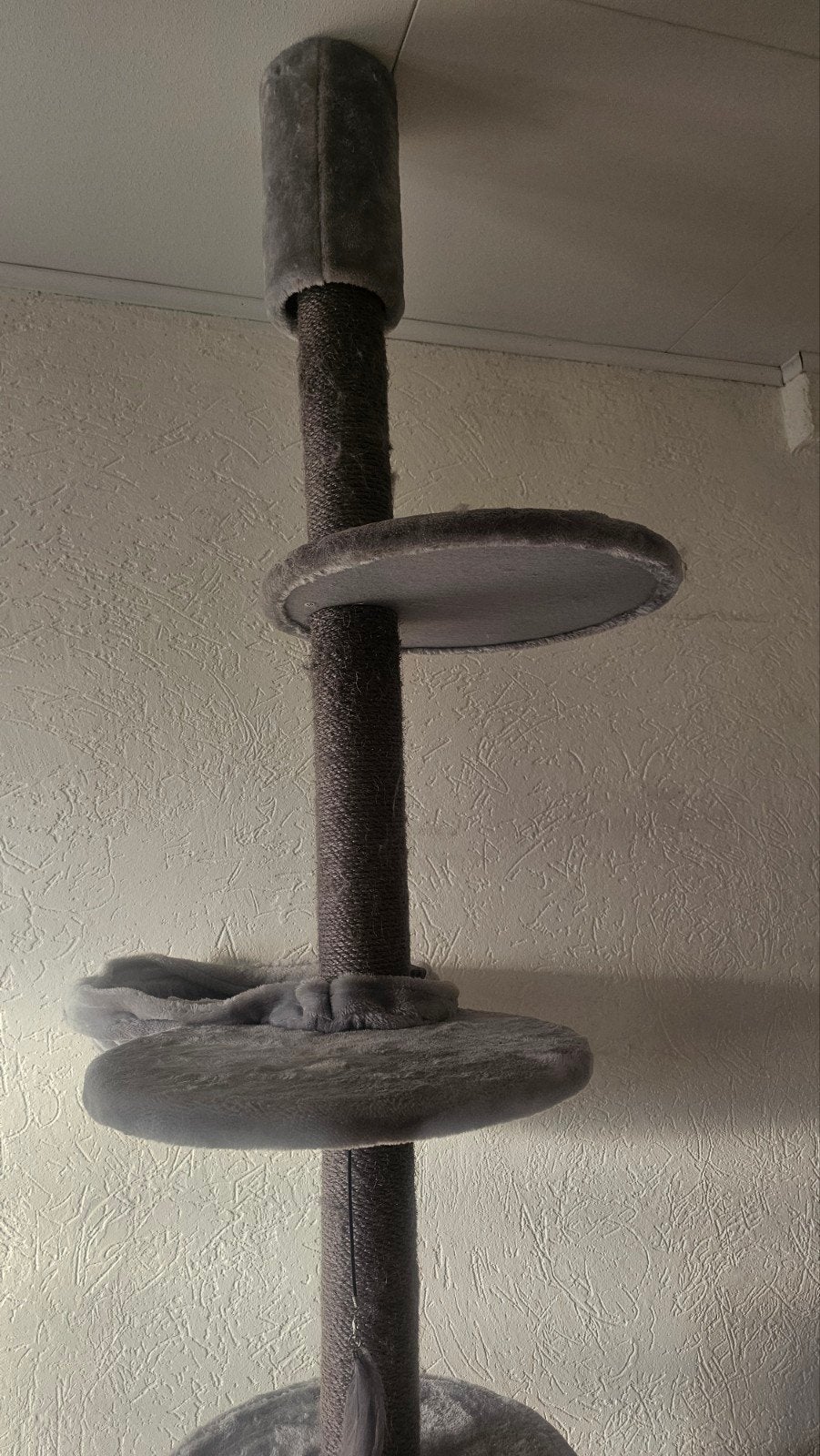 Krabpaal/plafond paal PETREBELS, Ophalen, Nieuw, Krabpaal