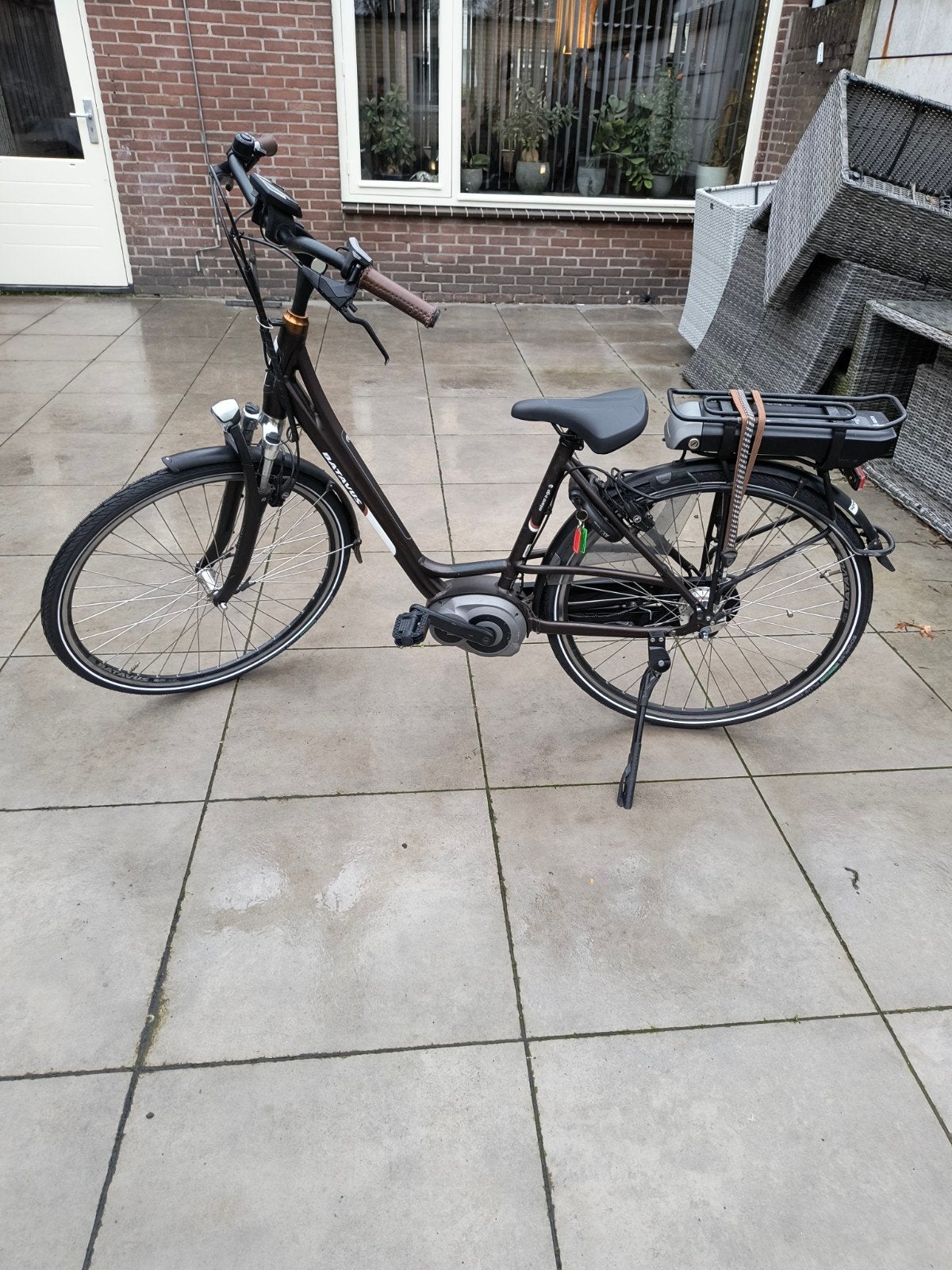 batavus