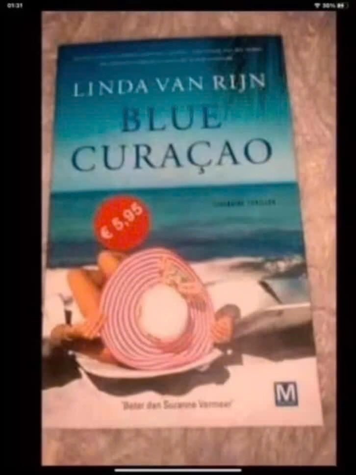 Blue Curaçao - Linda van Rijn (roman), Gelezen, Linda van Rijn, Ophalen of Verzenden, Nederland
