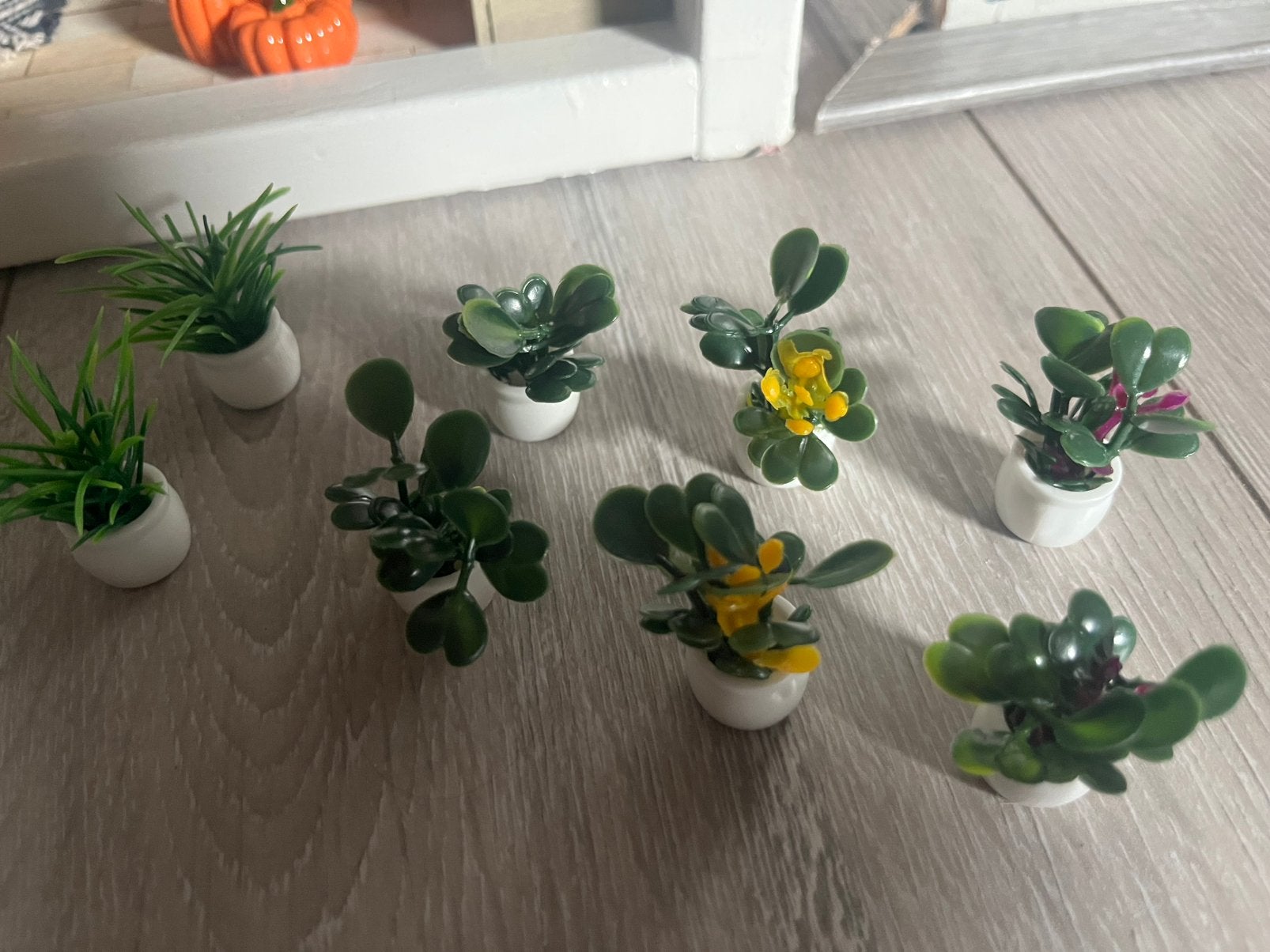 Miniplantje poppenhuis inclusief verzendkosten, Ophalen, Nieuw, Poppenhuis