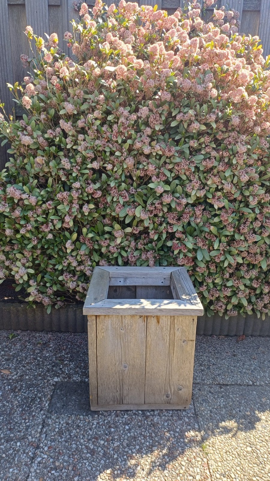 Steigerhouten plantenbak, Ophalen, Nieuw, Binnen, 60 tot 100 cm