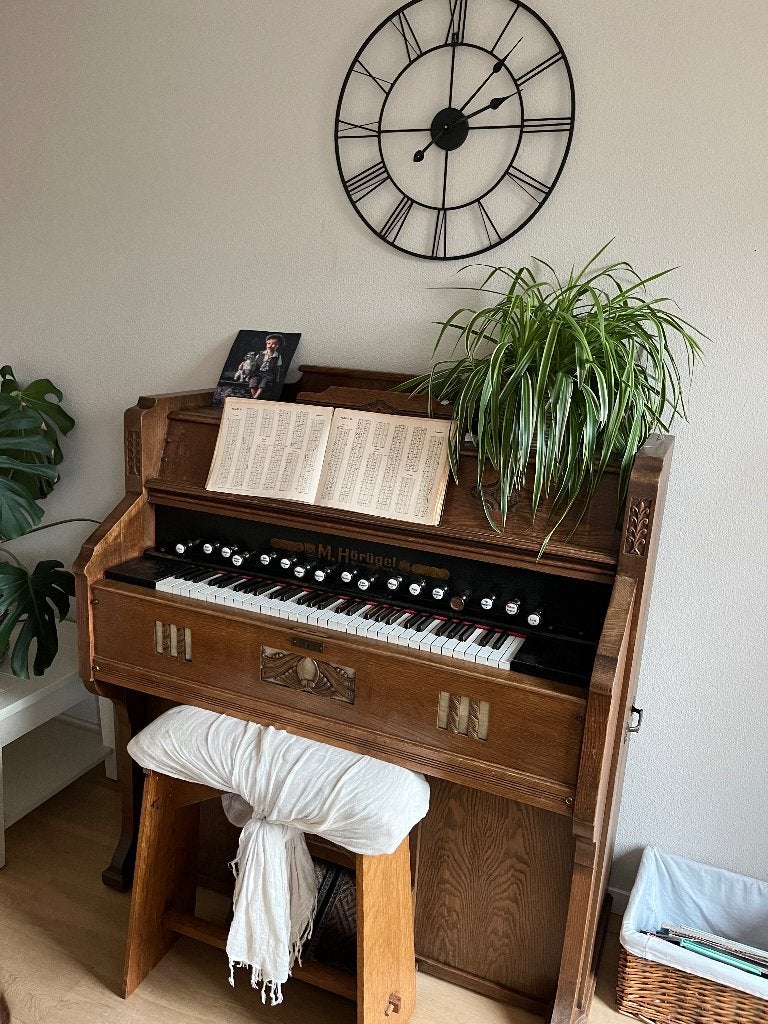 Harmonium, Muziek en Instrumenten, Orgels, Ophalen, Gebruikt, 1 klavier, Harmonium
