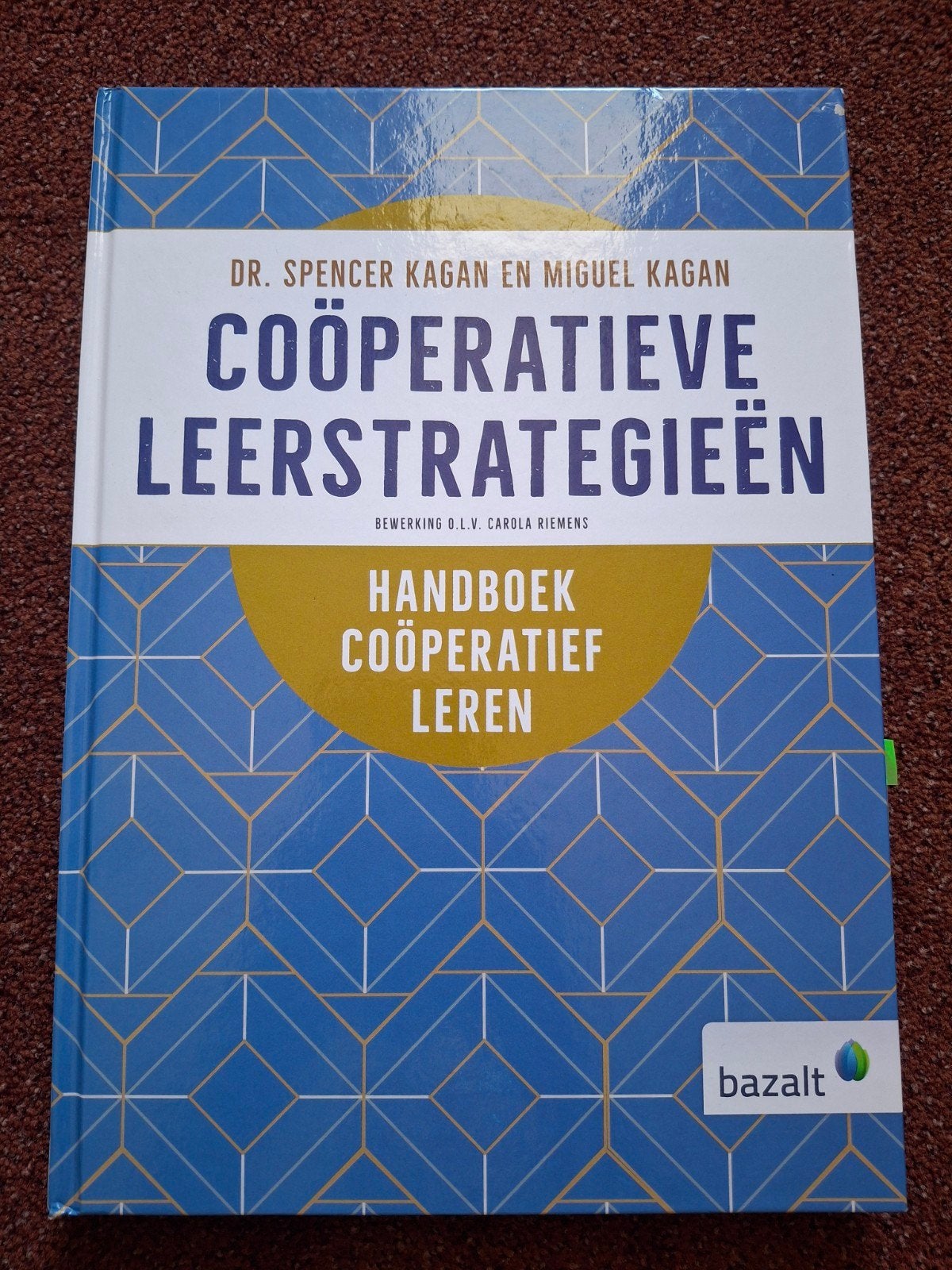 Coöperatieve leerstrategieën, Boeken, Ophalen of Verzenden, Zo goed als nieuw, HBO