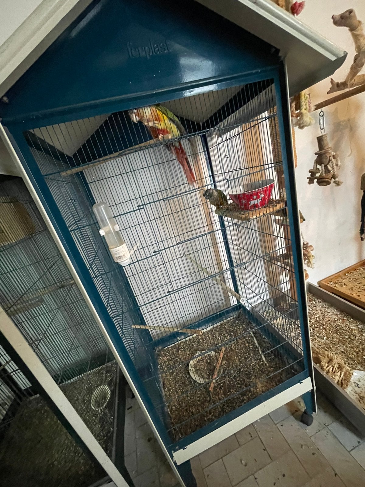 Kweek koppels, Ophalen, Zo goed als nieuw, Hout, Vogelkooi