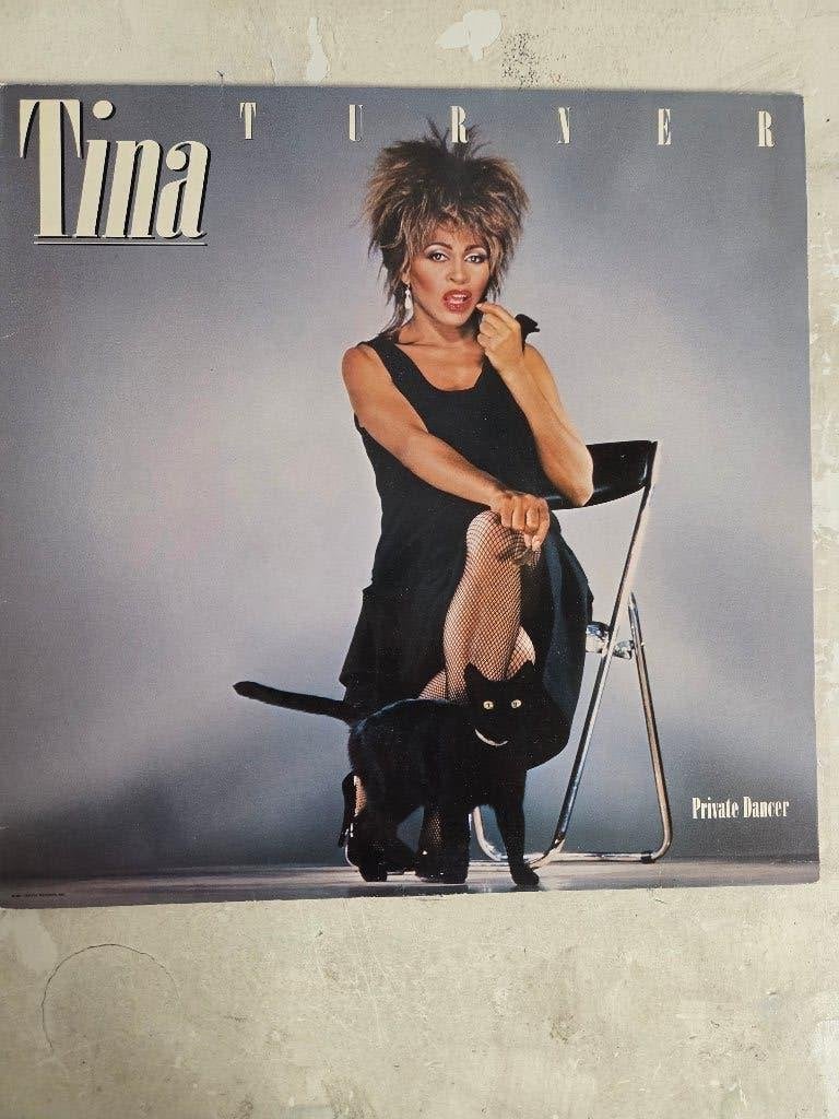 Vinyl lp TINA TURNER: PRIVATE DANCER, Beschermende buitenhoes, LP, Gebruikt, Pop